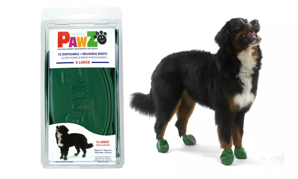 PawZ Dog Boots (12-Pack) - Primary Image