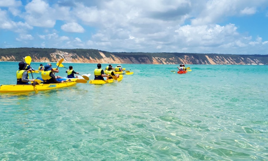 Image 21: Dolphin-View Kayak Tour or Private Day Tour to Double Island Point