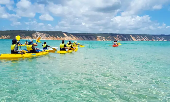 Dolphin-View Kayak Tour or Private Day Tour to Double Island Point