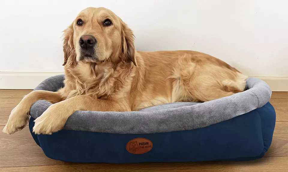 Cucce, lettini e divanetti per cani e gatti in vari modelli e misure