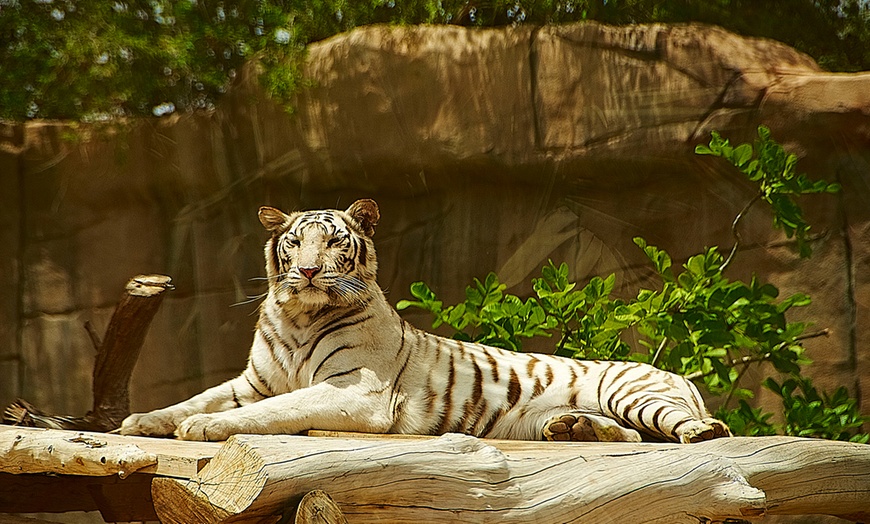 Image 19: Zoo and Learning Centre Entry: Child (AED 8), Adult (AED 25)