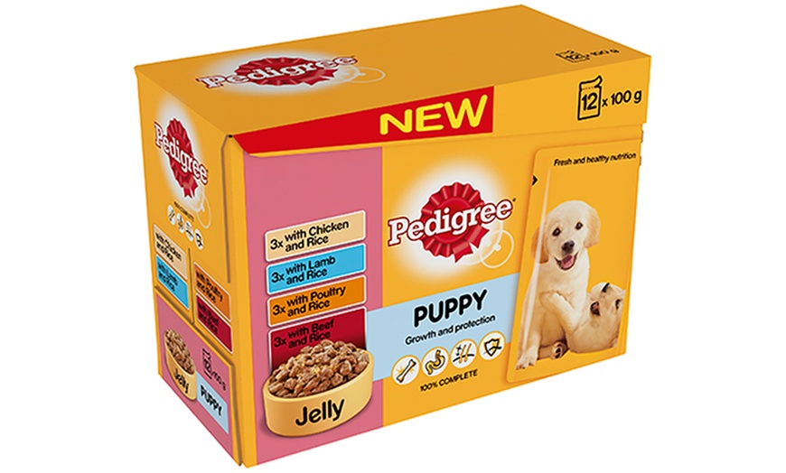 Pedigree Pouches 48 x 100g | Groupon Goods