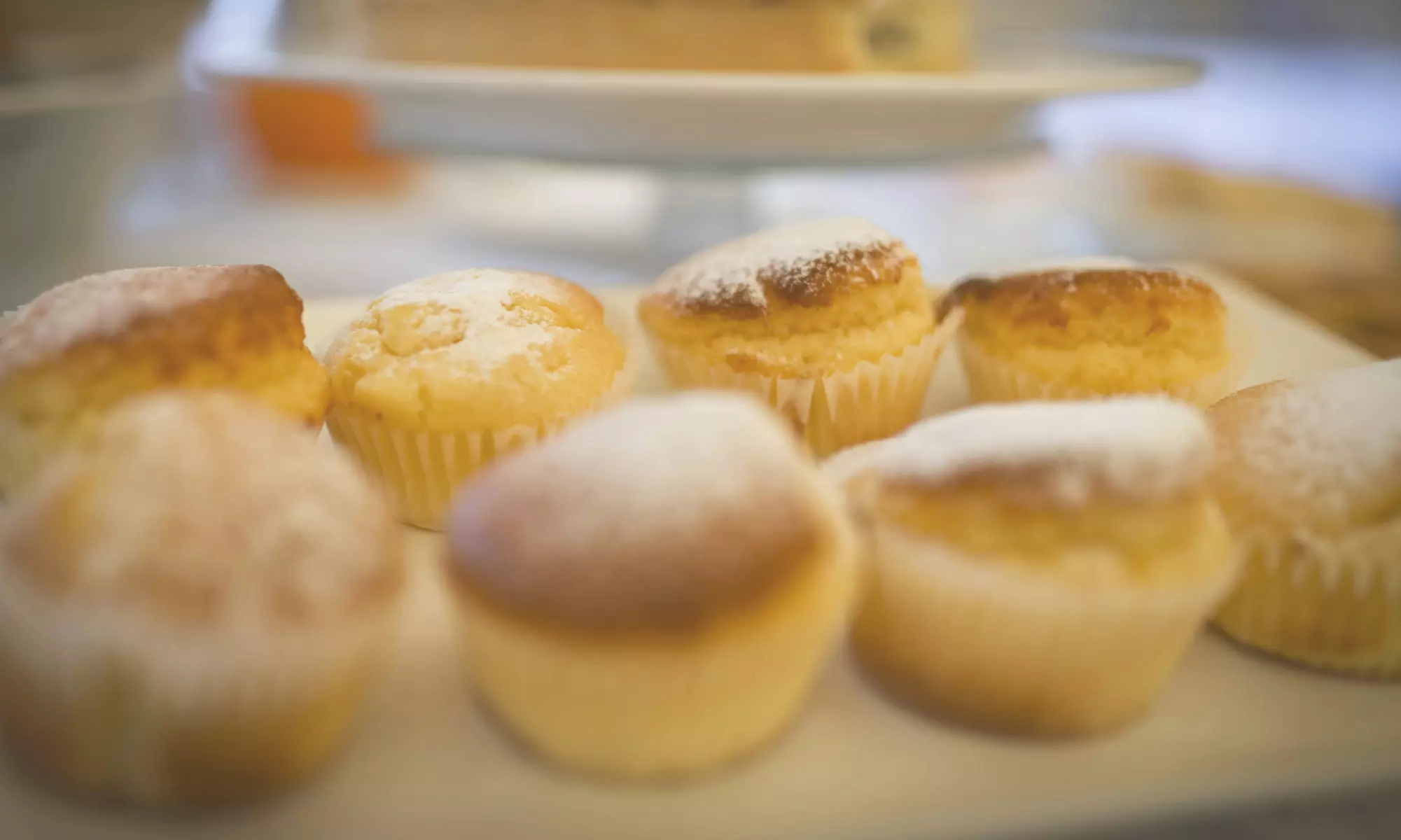 Fano 4*: soggiorno con colazione e degustazione in azienda agricola