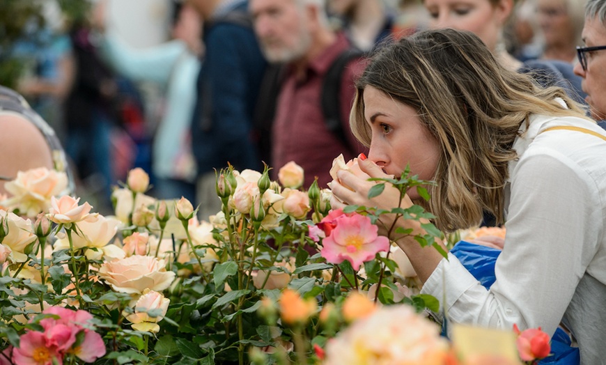 Image 2: BBC Gardeners' World Live
