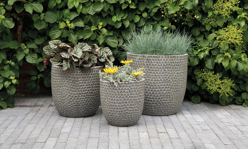 Image 7: Planters Set