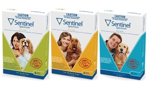 Sentinel Spectrum Pet Chew 6-Pack