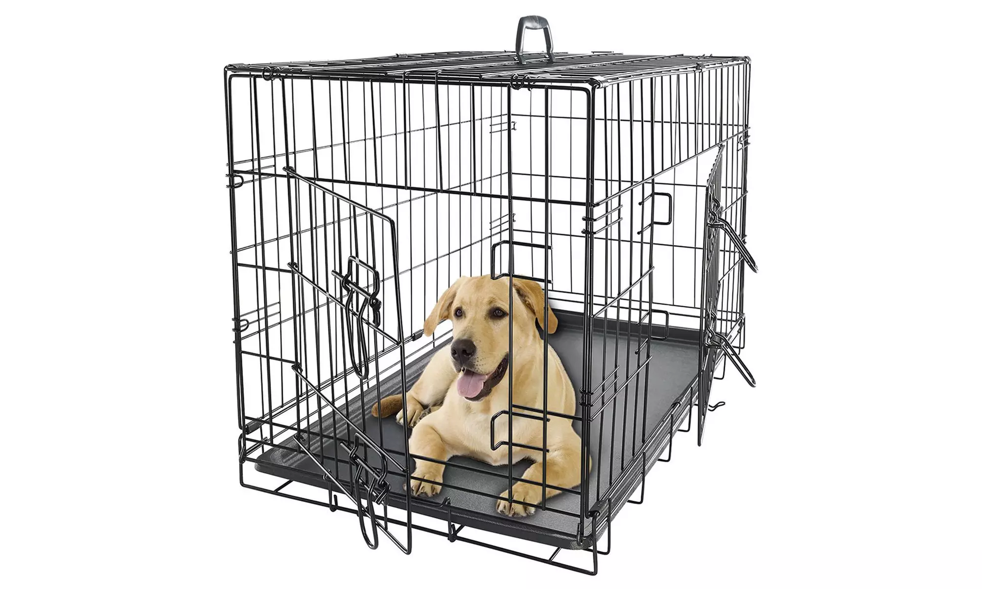 Collapsible Metal Pet Crate with Removable Tray  - Primary Image