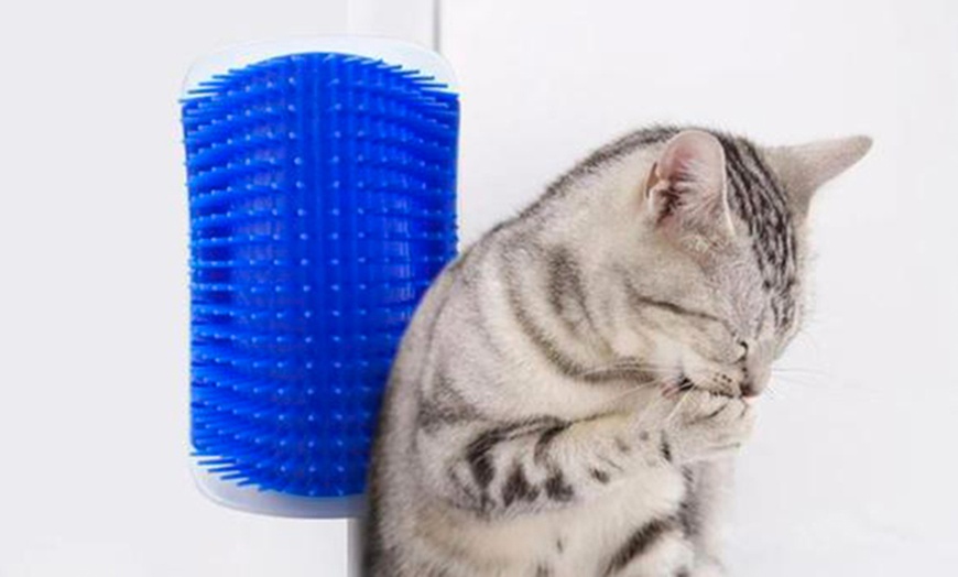 Image 1: One or Two Angle Cat Grooming Brushes