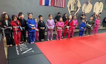 One Month of Kids Martial Arts Classes 2x classes per week - DNA Jiujitsu