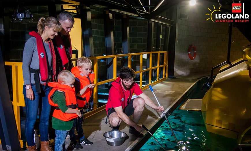 Image 3: LEGOLAND®: Interactive Shark-Feeding Experience