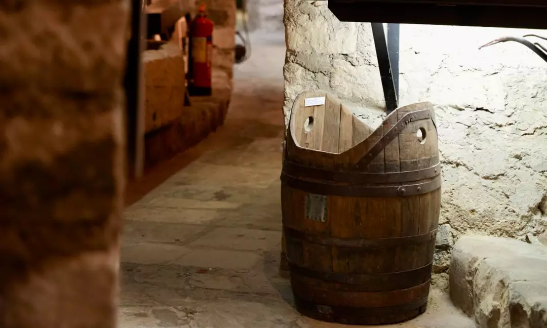 1 entrée au musée du vin avec dégustation d'1 verre de vin en option