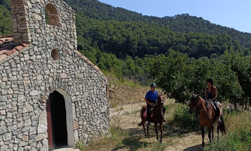 Image 2: Experiencia a caballo para 1 o 2 en Mussara Equitació Emocional