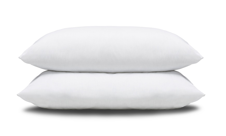 Image 4: Slumberdown Dreamwell Pillows