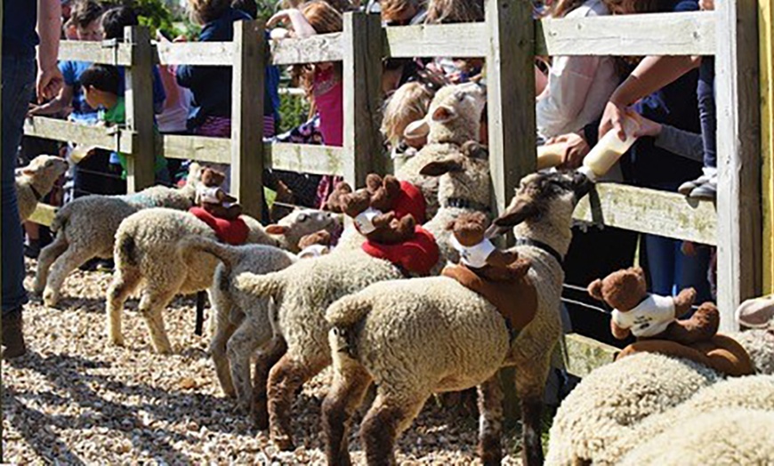 Image 3: Abbotsbury Farm, Child £7.95, Adult £9.95 Entrance