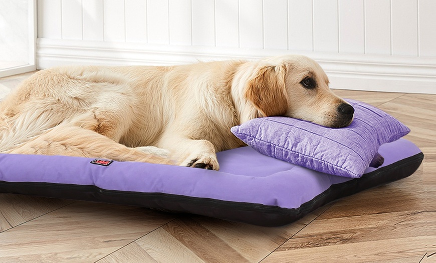 Image 6: Purple Canvas Pet Bed