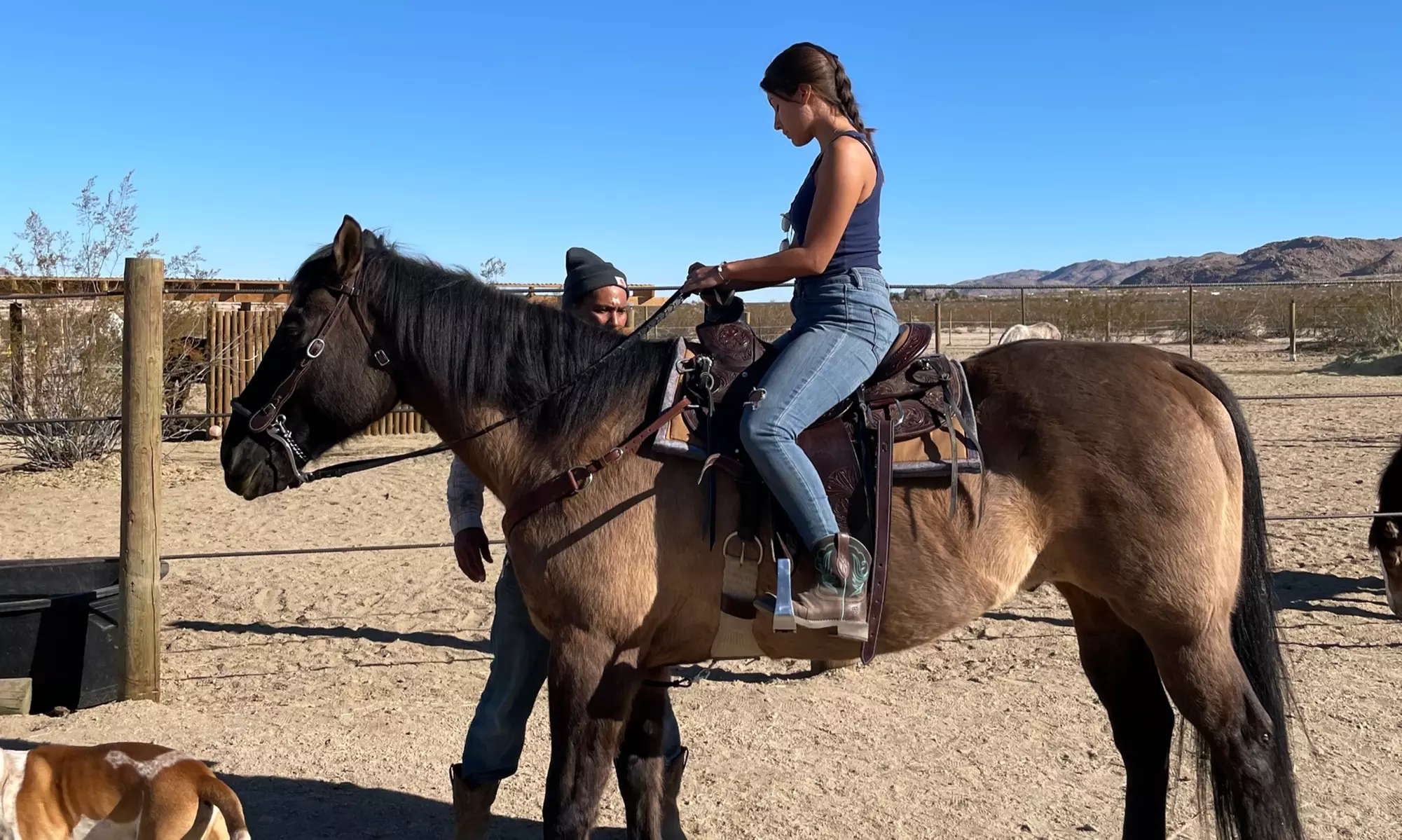 Up to 46% Off on Horse Back Riding - Training at Cascade Trails Mustang Sanctuary - Second Medium