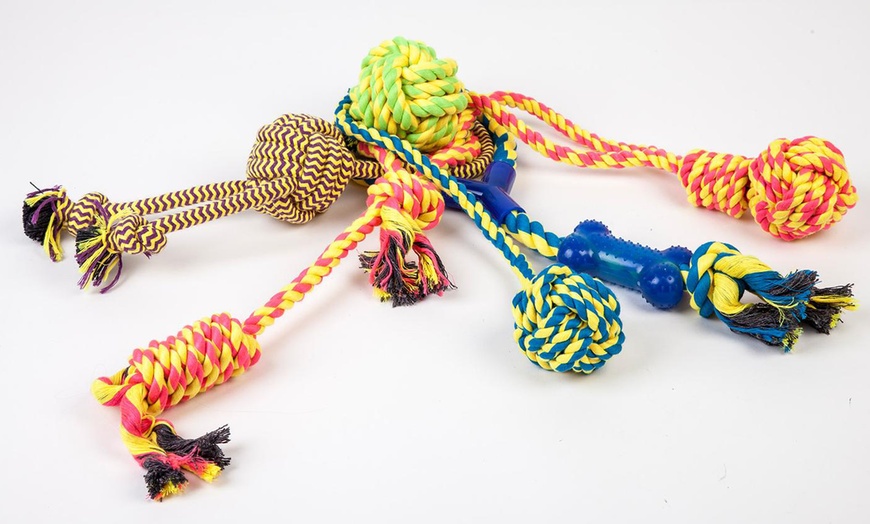 Image 4: Mixed Pack of 10 Dog Toys