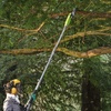 Image 5: Garden Gear Telescopic Chainsaw with Optional Spare Battery