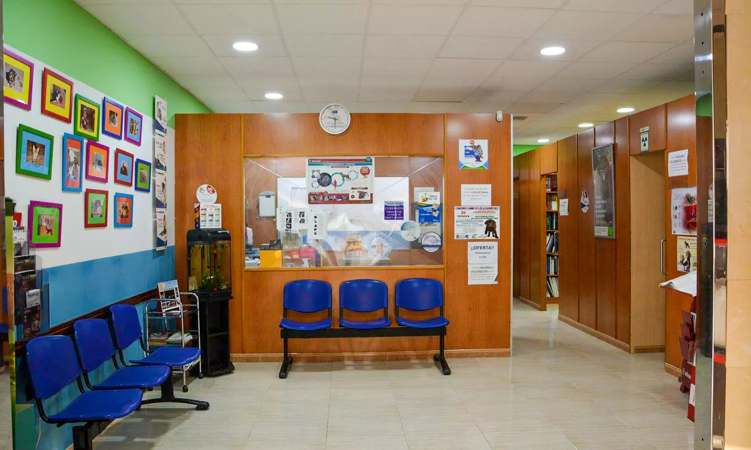 Higiene bucal para 1 o 2 mascotas