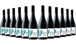 12x Vibrant Harvest Yarra Pinot Noir