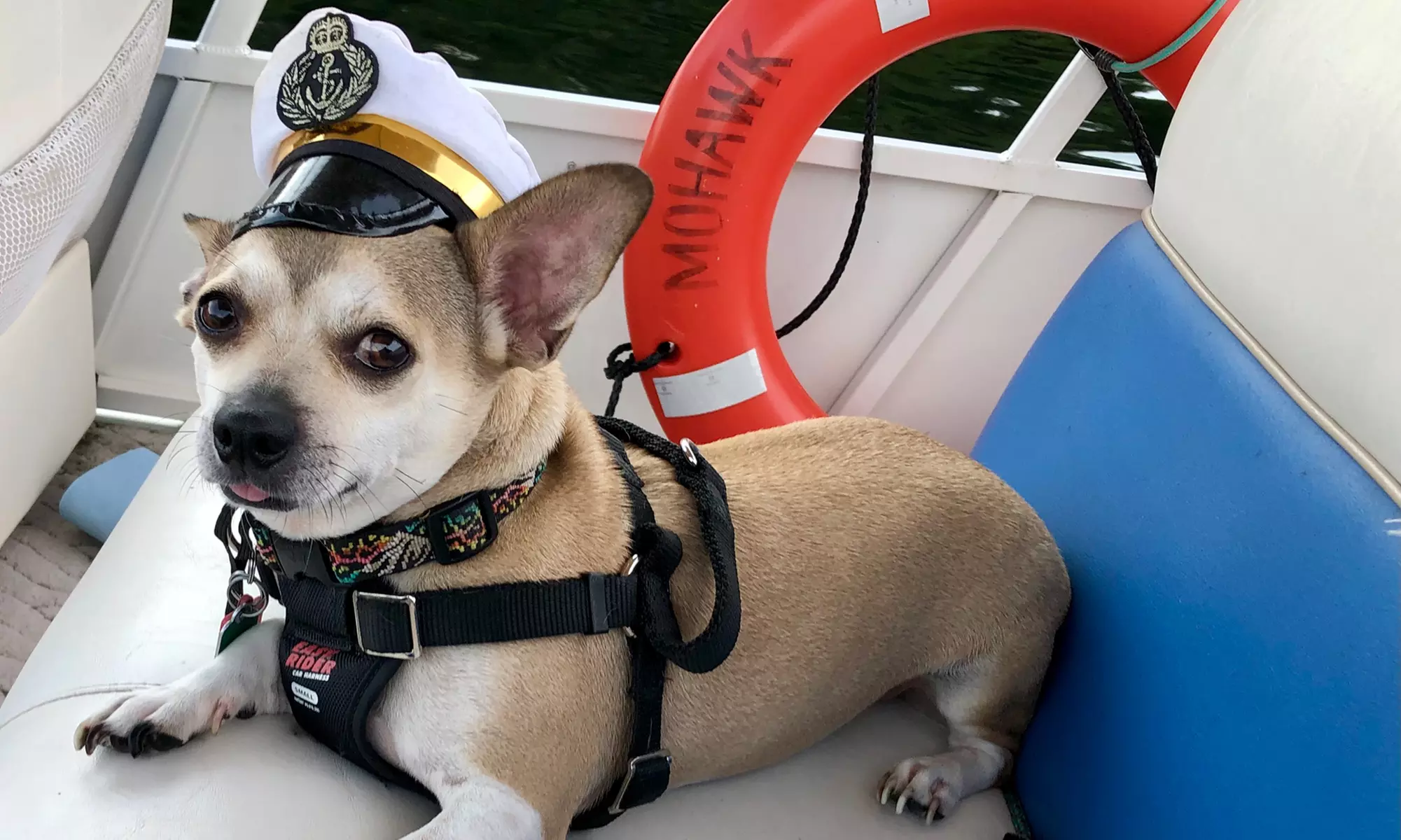 Private Mini Cruise for Up to Six People at Mohawk Maiden Cruises (Up to 30% Off) - Primary Image
