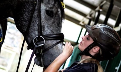 3 o 5 lezioni di equitazione per una persona da SSD La Pinosa (sconto fino a 60%)