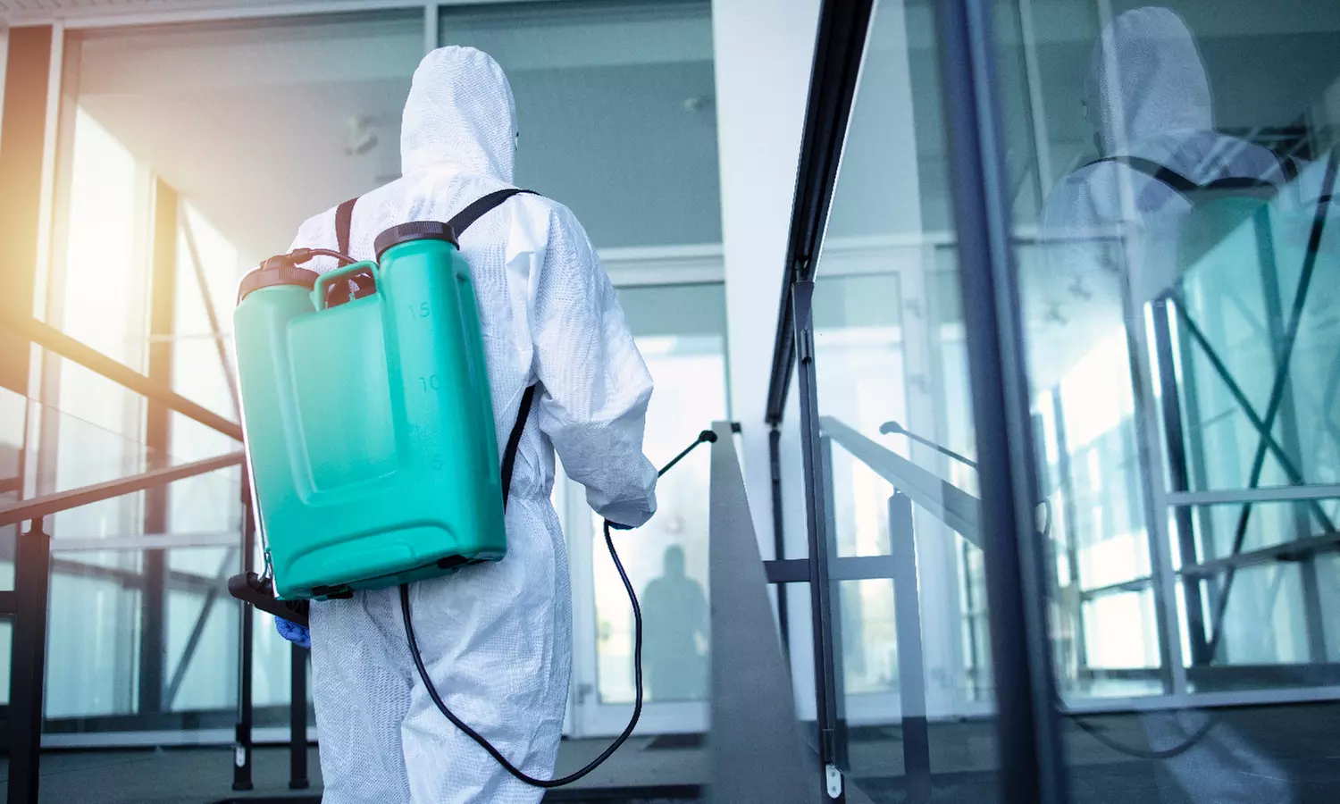 1 mois de couverture anti-nuisibles offert avec FREE NUISIBLES