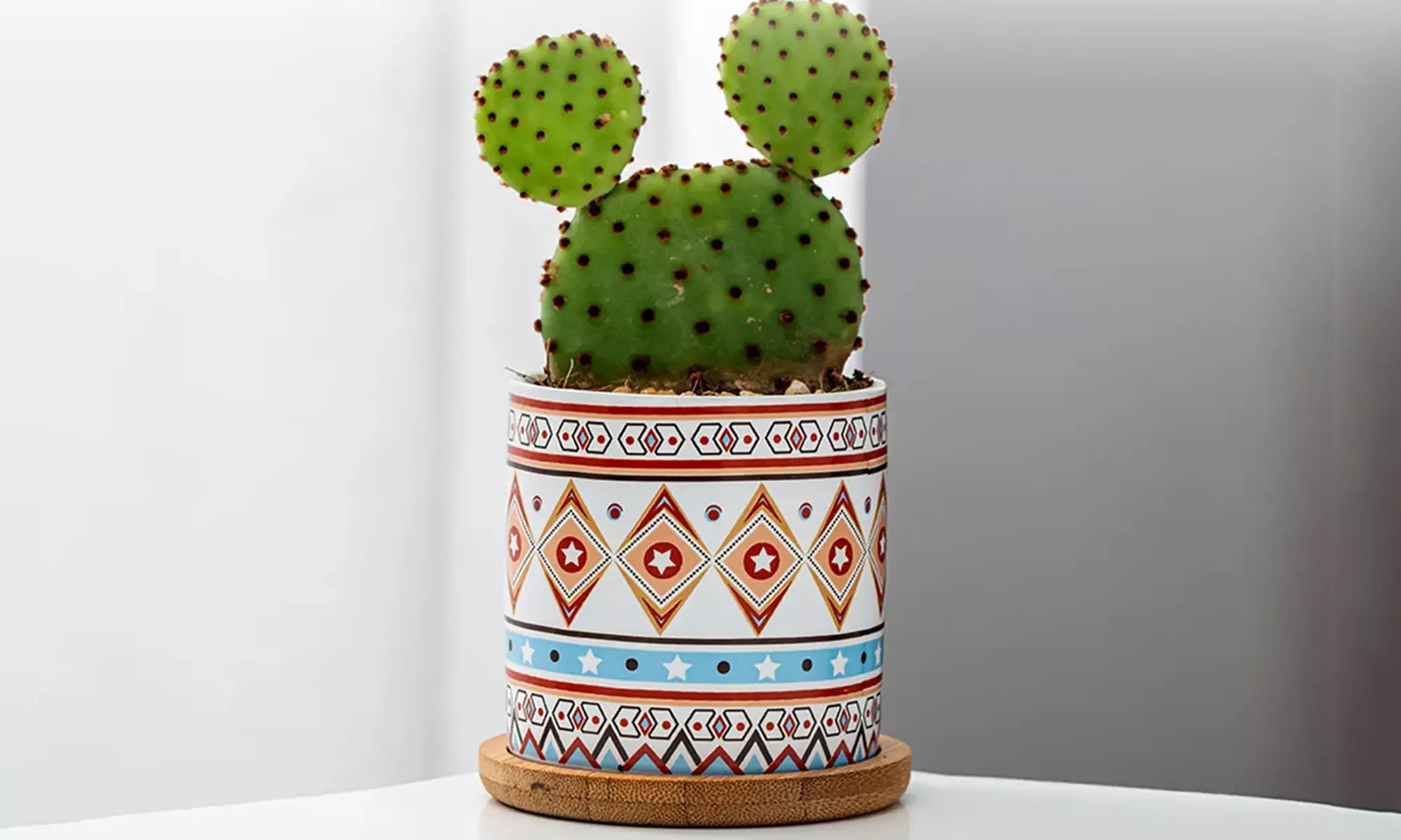 Lot de 3 pots de fleurs en céramique pour succulentes