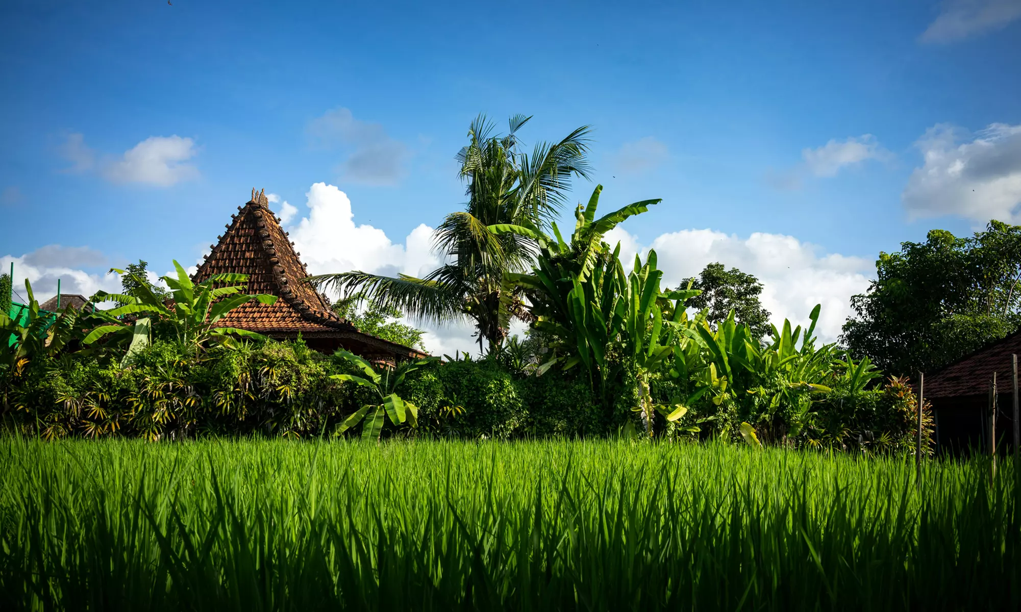 ✈ Kuta & Ubud: Bali 14 Nights with Return Flights and Stay at a Choice of Hotels - Primary Image