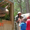Image 1: Dino Fest & Zipline Adventures at Stone Mountain Park, GA
