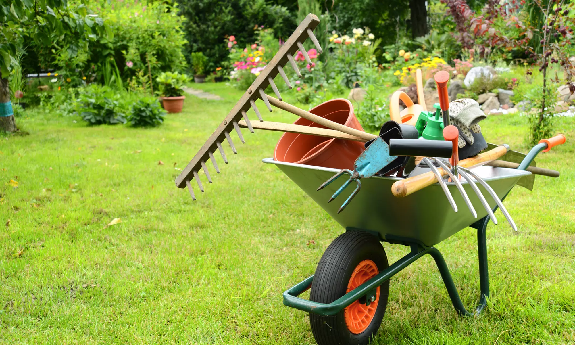 2 oder 3 Std. Professionelle Gartenpflege bei Peter Dahmen (56% sparen*) - Primary Image