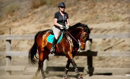 Three- or Five-Day Horseback-Riding Summer Camp or One 60-Minute Lesson at Camulos Farm in Vista (Up to 53% Off) - Primary Image
