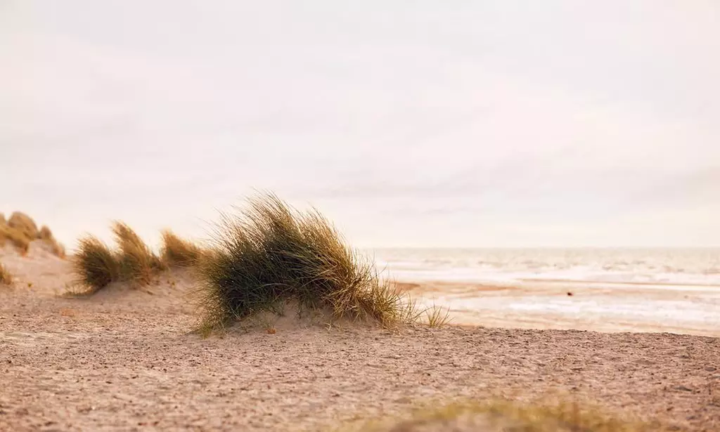 Renesse: Comfort tweepersoonskamer met ontbijt