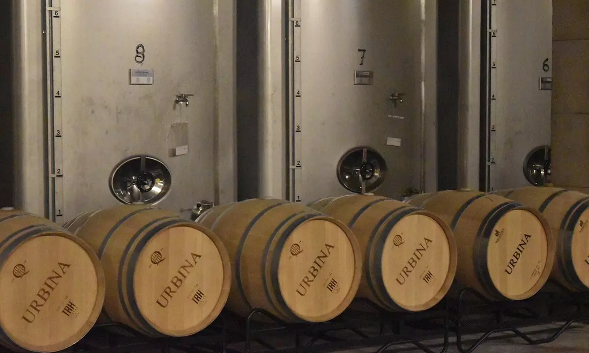 Visita guiada a la bodega y cata de vinos en Bodegas Urbina