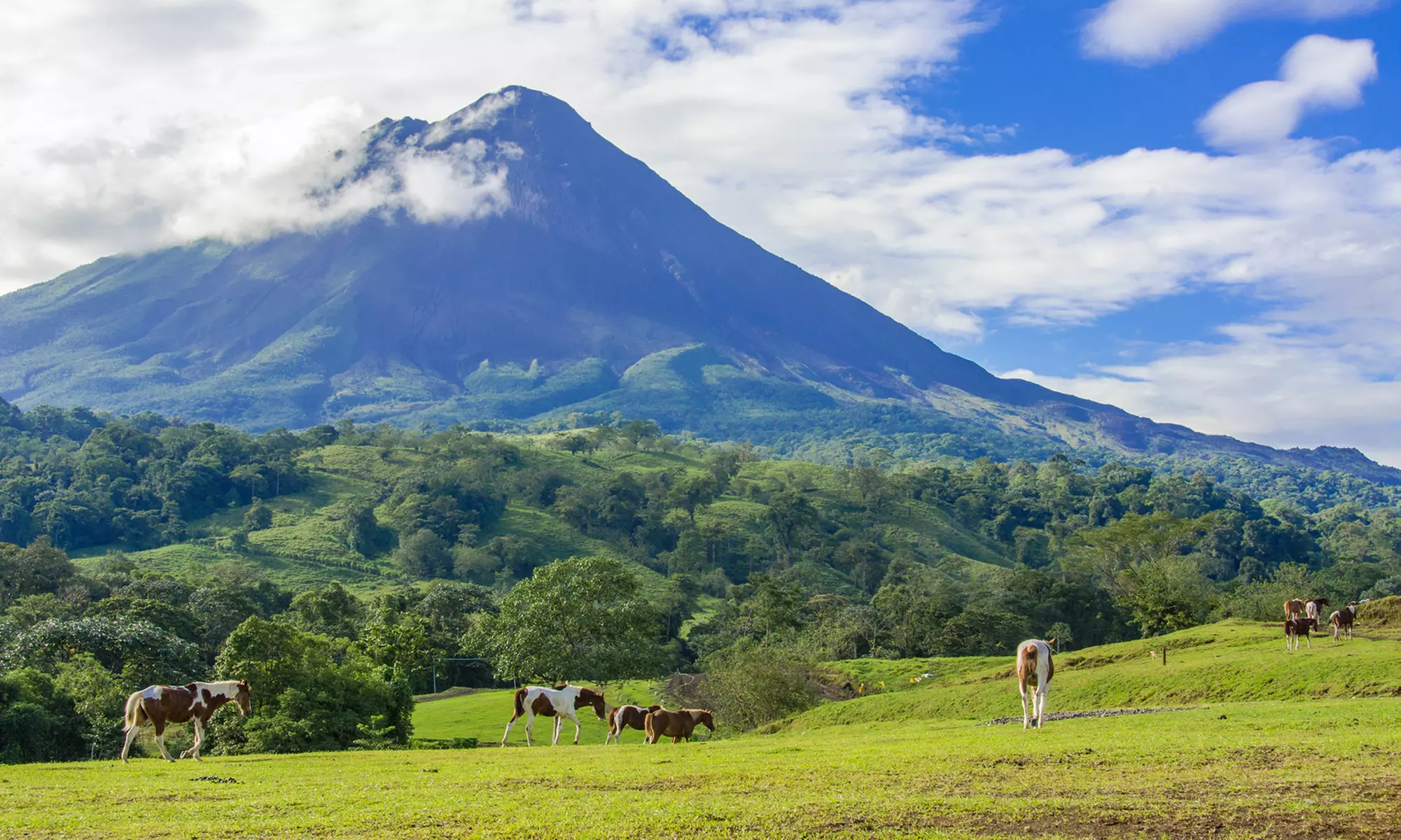 ✈ 8-Day Vacation in Costa Rica with Air from Great Value Vacations. Price per Person Based on Double Occupancy. - Primary Image