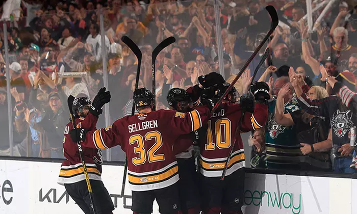 Save on Chicago Wolves Tickets! - Second Medium
