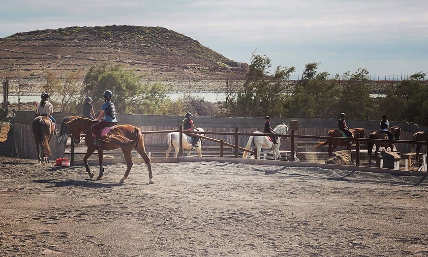 Image 7: ♞ Paseo a caballo para 2 personas con Horse Riding Canaria