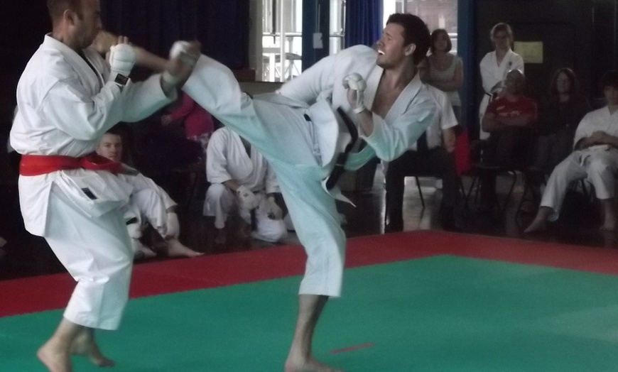 Image 3: Two Karate Classes