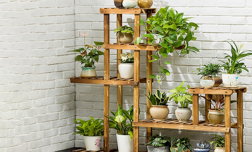 Image 1: 6-Tier Rustic Wooden Plant Stand