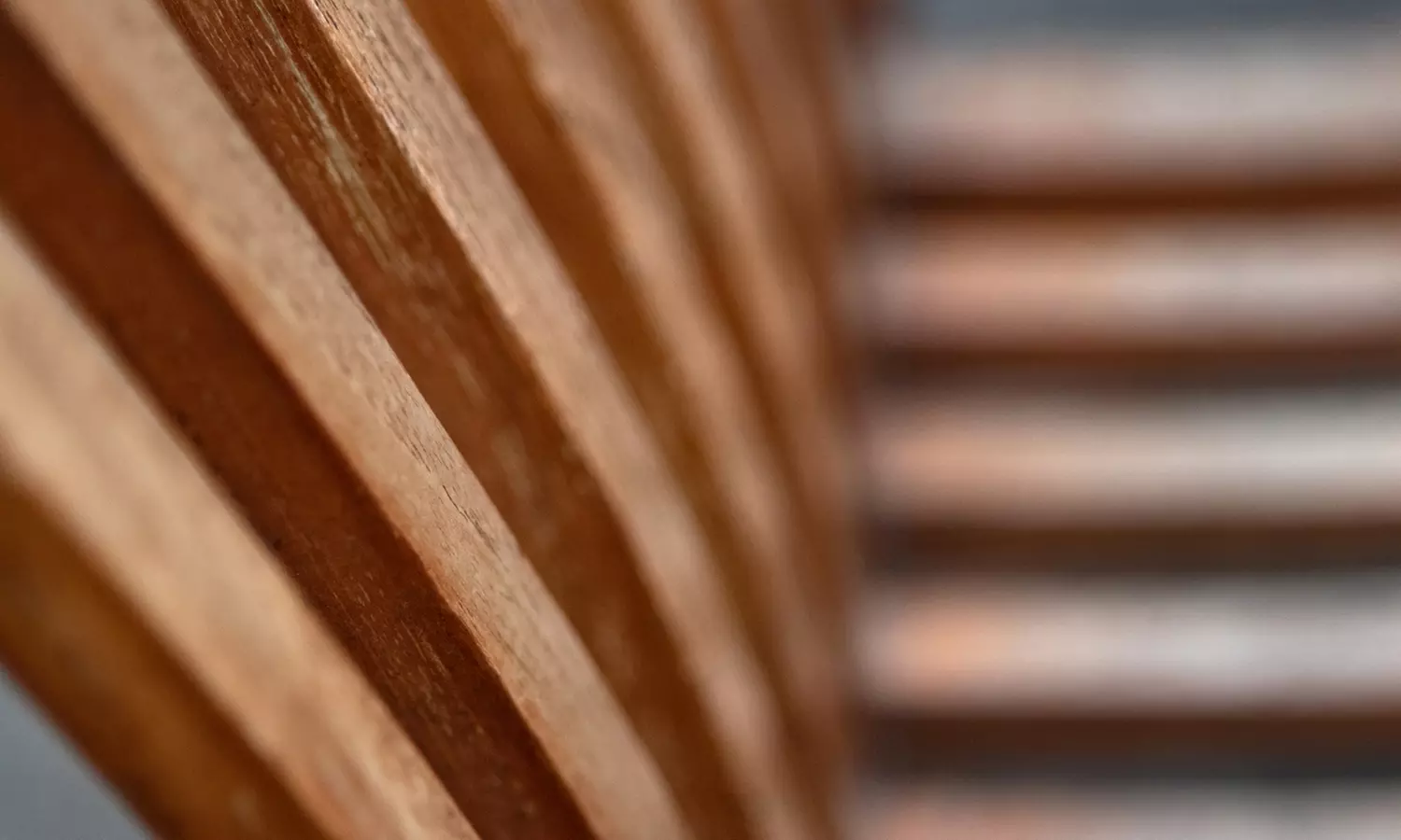 Foto-Workshop & Photowalk Outdoor