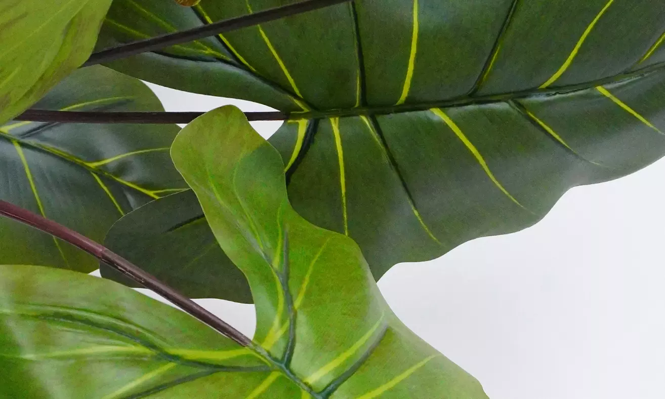 Collezione di piante finte da interno