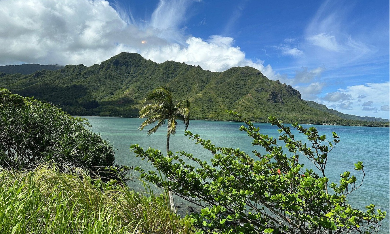 Explore Day Tour of the Island of Oahu or Hawaii's Activities Experts (Up to 50% Off) - Primary Image