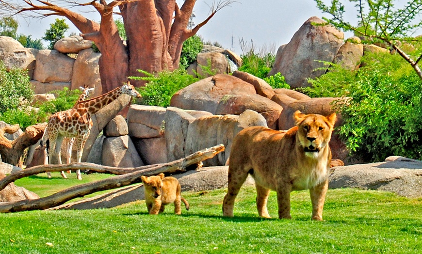 Image 1: ¡Descubre la selva en la ciudad en Bioparc Valencia!