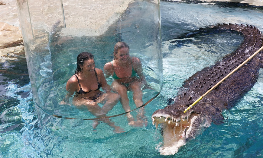 Image 11: Darwin: Cage of Death w/ Full Day Entry or Big Croc Encounter VIP Tour