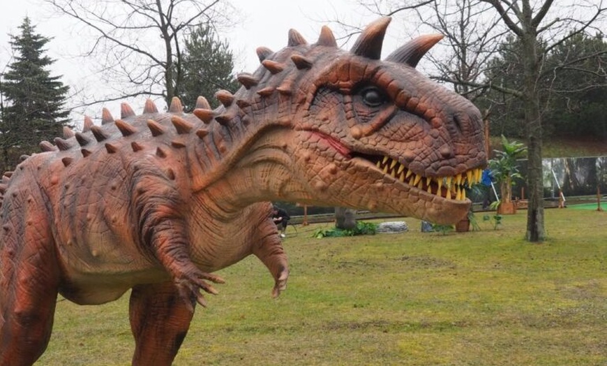 Image 27: Całodniowe bilety wstępu dla 1 osoby lub rodziny do parków DinoWorld