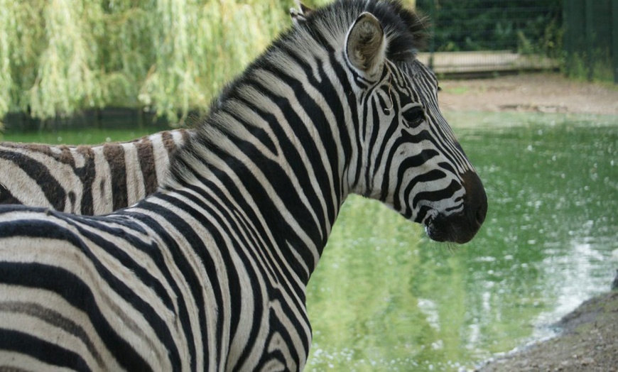 Image 12: Papegaaienpark - ZOO Veldhoven