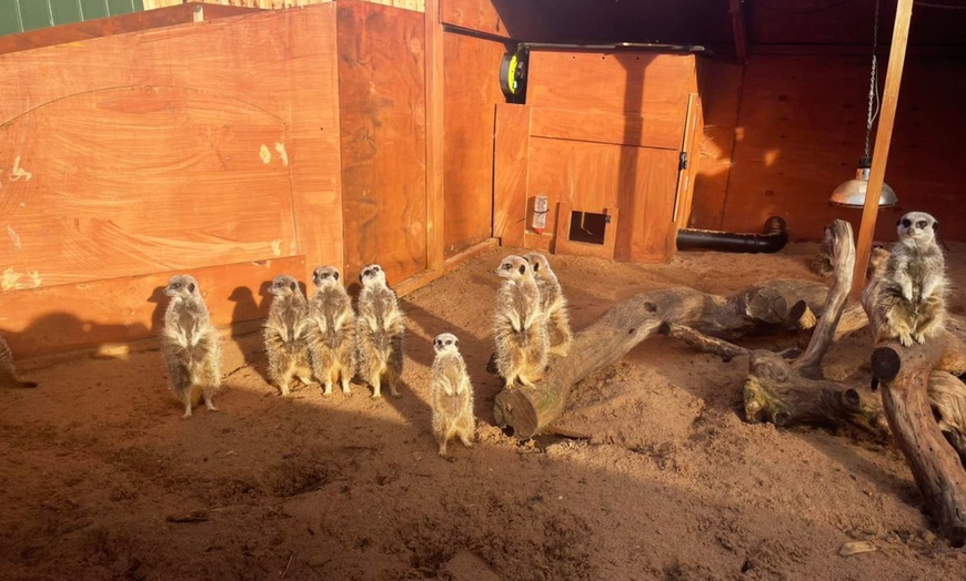 Image 8: Zoo Entry at Maldon Promenade Zoo