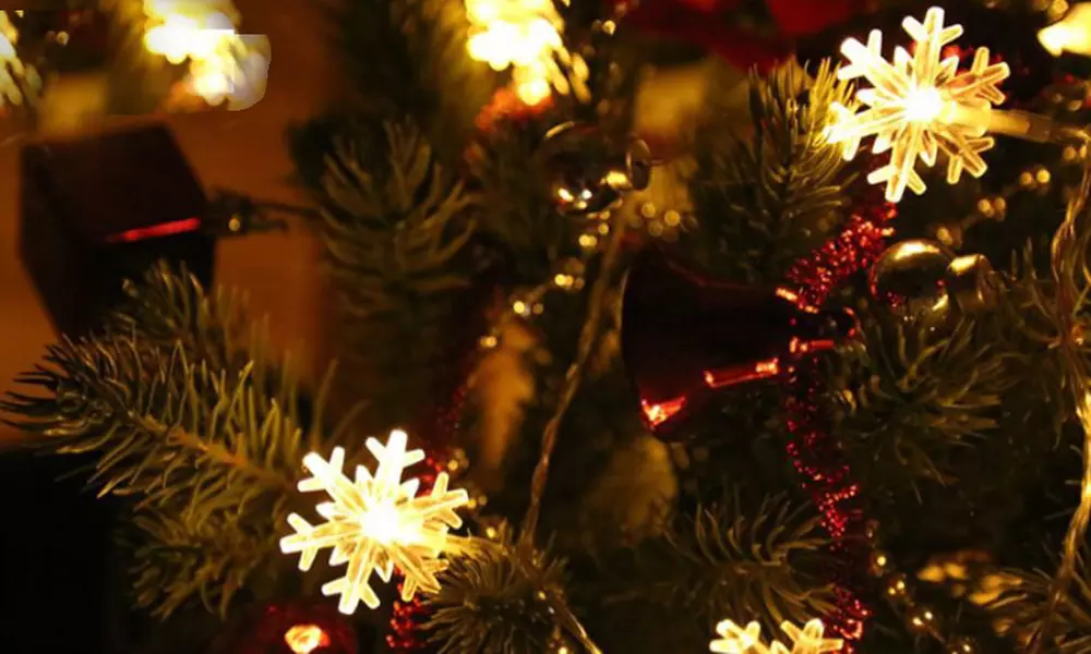 Stringa di luci LED a forma di fiocco di neve