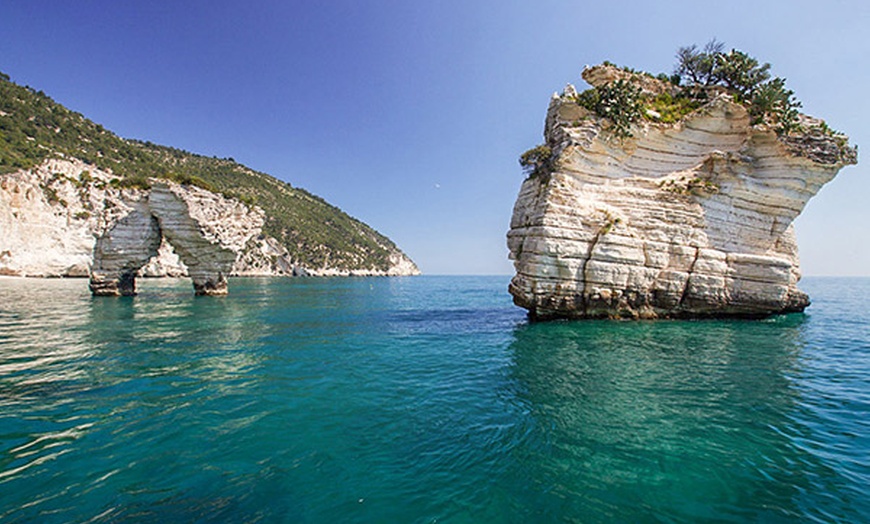 Image 3: Gargano 4*: camera Standard con colazione o mezza pensione e Spa