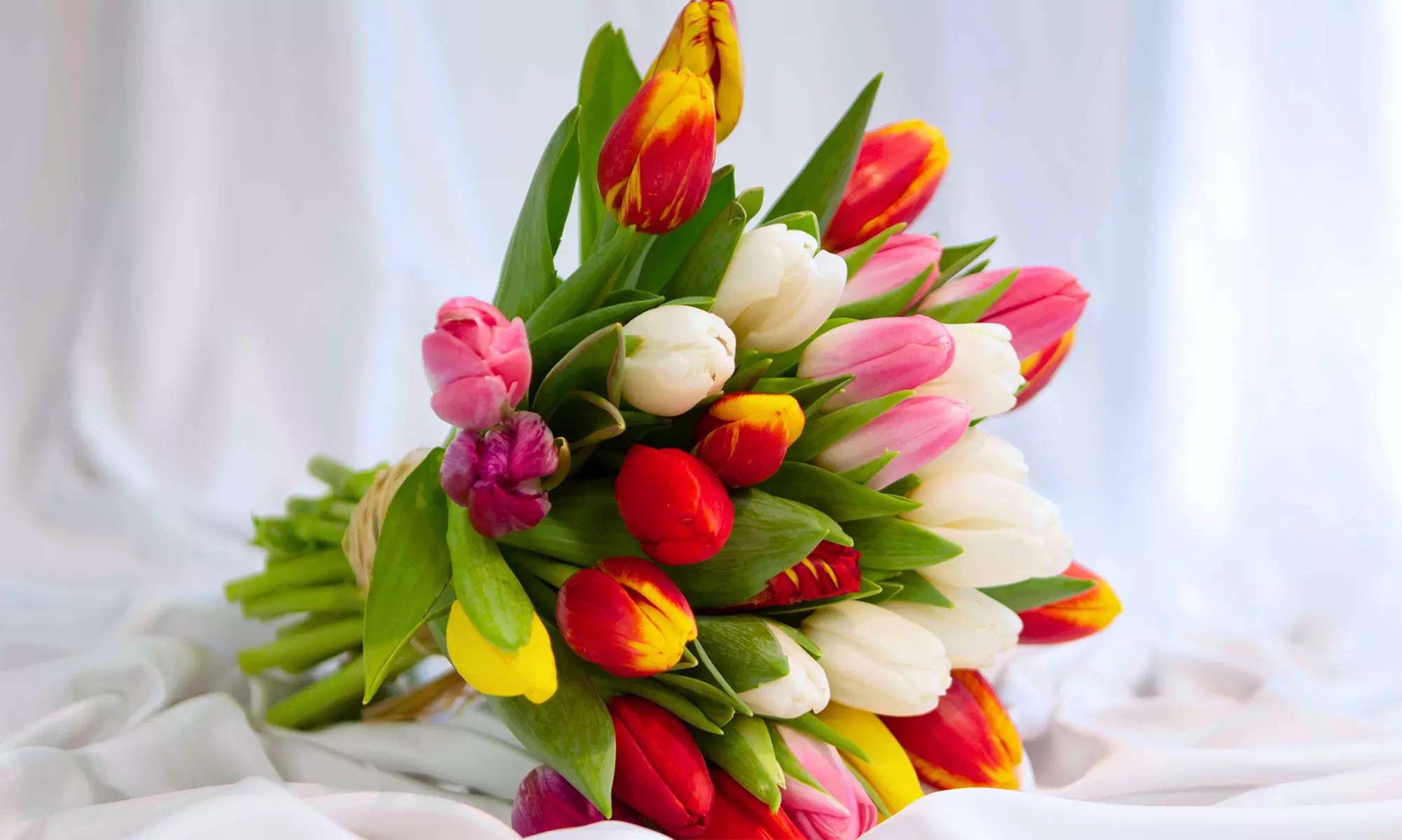 Bouquet de 30 tulipes avec Kokomo